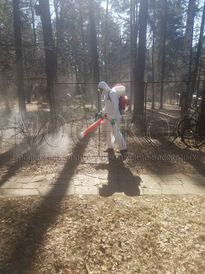Уничтожение клещей на участке в Дедовске