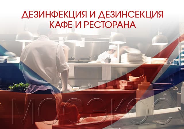 Дезинсекция предприятия общественного питания в Дедовске